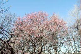 ؂₩ɍ炭dg@i'04.01.26j