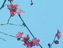 Ȋg璹@i'04.02.07j