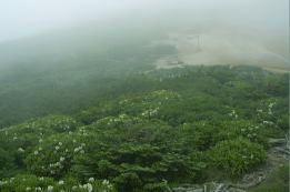 LoiVNiQ̌QiԊ̓`xRj(03/07/28)