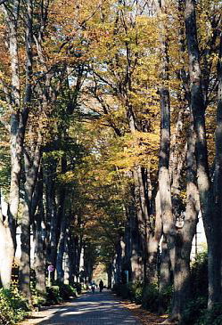 gl̒قǂk[ʂ@i'04.11.28j