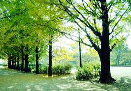 ^̋Ǖ؁[iSj@kBt̒xꂽZNV