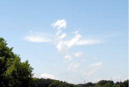 ̌`_