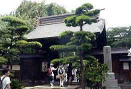 @@̌ÙA~̎R@