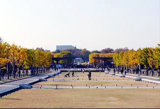 Lꂩ痧Q[g]@i'07.11.24j