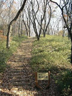 〔桜ヶ丘公園）　雑木林の丘へ登る小道