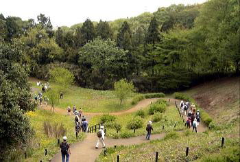 東京国際ゴルフ場手前の野道