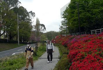 ゴルフ場外縁道路と並行して