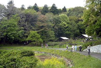 一本杉公園周辺の里山風景、奥に炭焼き小屋が見える