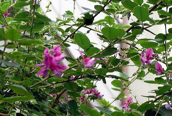 RӁ@̉ԁ@i12:12j@@