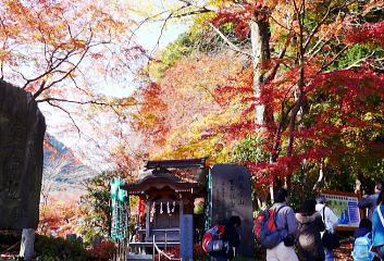 Qӂ̍gt@i'09.11.23A11:23j