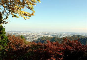 䗅̌䂩sSʂ]Bi11:45j