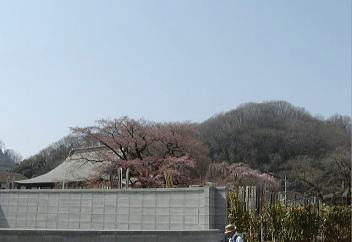 ̍]˔ފݍiOjƎ}ij '10.3.20 Be