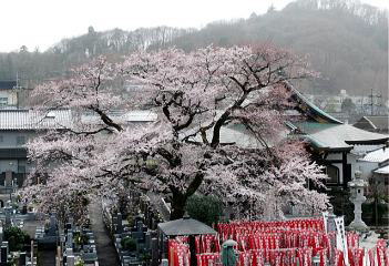 {O̍]˔ފݍi2010.3.21Awz[ォBej