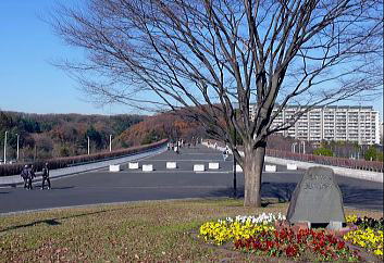 钆u狴vʂBOE肪B