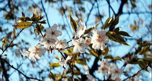 菭AR@('02/3/24)