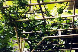 ڂ́unj[ubNv@i02/6/28j