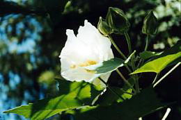 u[iPj@