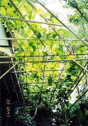PKʁ@w`}̓I@i'04.8.22j