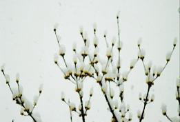 ~ᒆ̃TV̏@i'05.03.04j