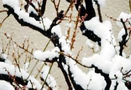 ᒆ̔~OԁiPj@i'05.03.04j(wi͗׉Ƃ̊Oǁj