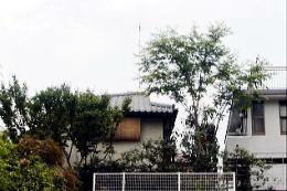 ׂ猩̟OiEj@i'05.6.27j