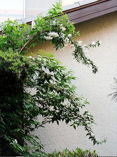 A茩@i2010.6.1j