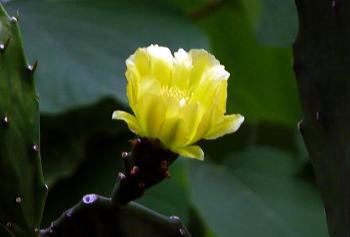 POAJԂԁ@i2010.10.19j