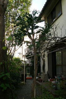 ڊ̌@i2010.11.21j