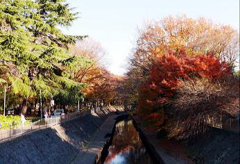 PA听牺]