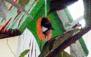 ̂VWEJ@i'06.3.27j