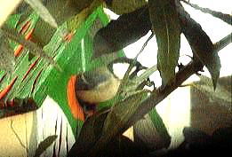 oVWEJ@i@A'06.3.26j