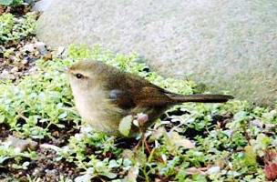 G̊Ԃō̉aEOCX@i'07.02.05j