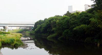 JZ~镑@i'07.6.12A07:00j