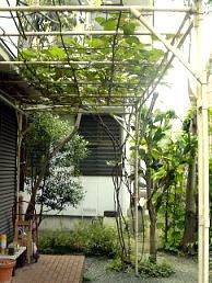 ʂ̒I̔ȏɎ}gQV[Yڂ̉ā@i'05.7.11j