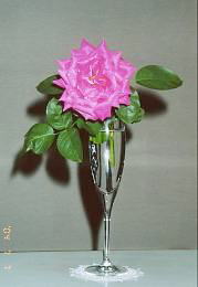 ؉ԂɂJ̉ԁ@i'04.7.7j