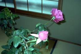 PQ́u}AEJXvQց@i'04.12.23j