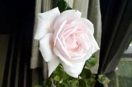 قڊJԂCnClX@i'05.5.28j