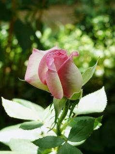 Jԏ́uvZXEhEiRv@i'09.5.22j